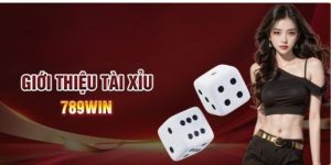 Tài xỉu 789WIN